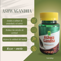 Ashwagandha – Suplemento Natural